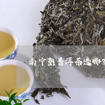 南宁熟普洱茶选哪家好/2023073086947