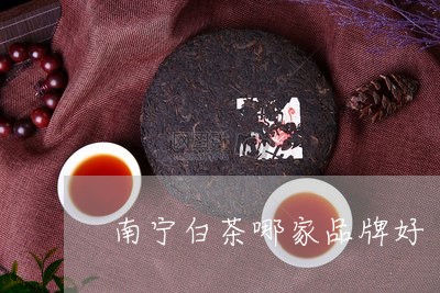 南宁白茶哪家品牌好/2023071613159