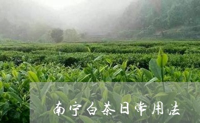 南宁白茶日常用法/2023061341947