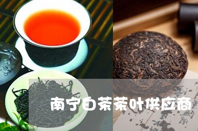 南宁白茶茶叶供应商/2023121700573