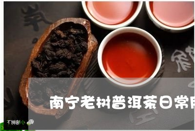 南宁老树普洱茶日常用法/2023112837360