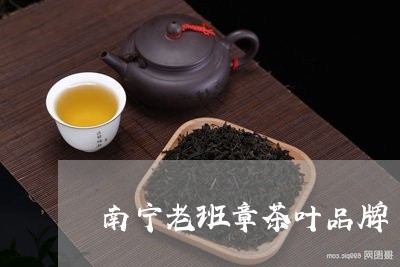 南宁老班章茶叶品牌/2023042714960