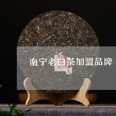 南宁老白茶加盟品牌/2023121784724