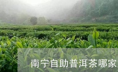 南宁自助普洱茶哪家好/2023120649284