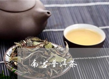 南宫普洱茶/2023090576269