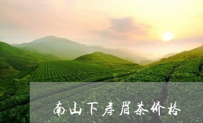 南山下寿眉茶价格/2023090879381