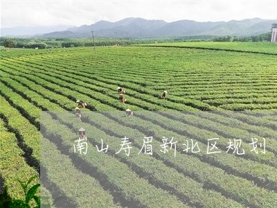 南山寿眉新北区规划/2023120542824