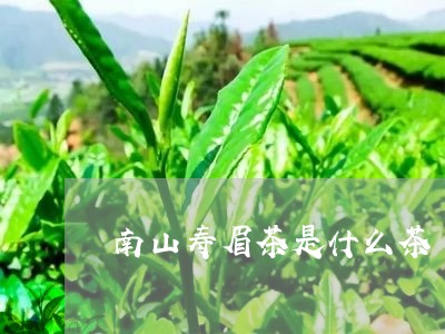 南山寿眉茶是什么茶/2023120484360