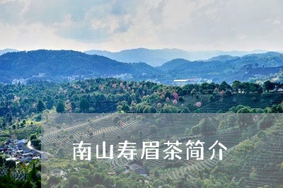 南山寿眉茶简介/2023112452481