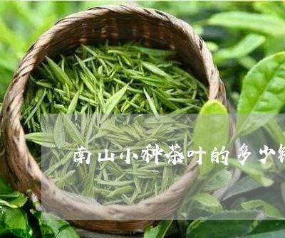 南山小种茶叶的多少钱/2023092286151