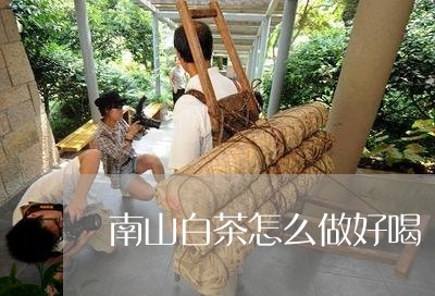 南山白茶怎么做好喝/2023071626260