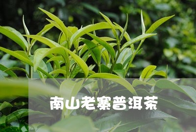 南山老寨普洱茶/2023112640506