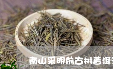 南山采明前古树普洱茶/2023061583048