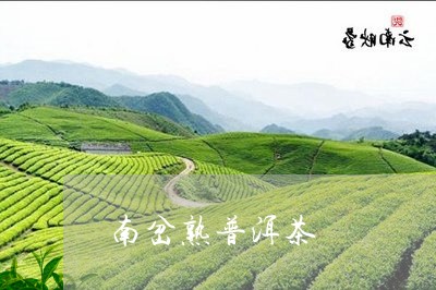 南岔熟普洱茶/2023042716688