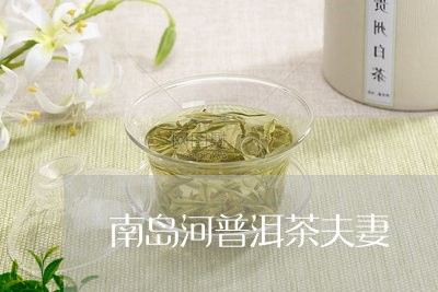 南岛河普洱茶夫妻/2023112632792