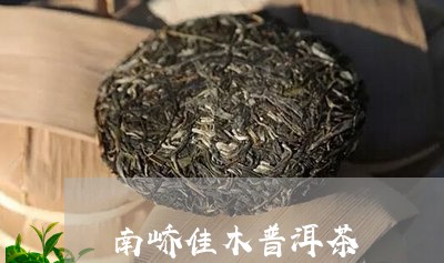 南峤佳木普洱茶/2023102607592