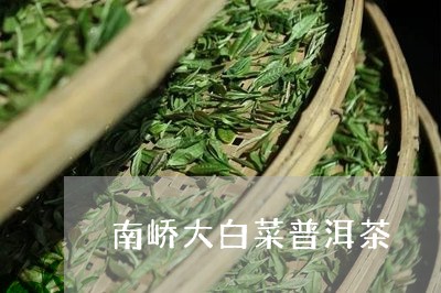 南峤大白菜普洱茶/2023120465069