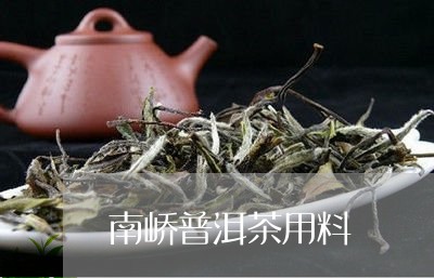 南峤普洱茶用料/2023102683925