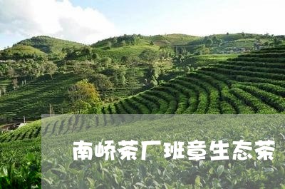 南峤茶厂班章生态茶/2023042517593