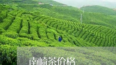 南崎茶价格/2023122007051