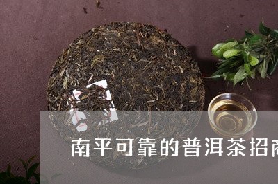 南平可靠的普洱茶招商/2023092500793