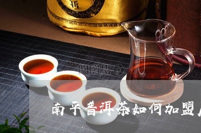 南平普洱茶如何加盟店铺/2023050672916