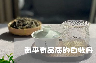 南平有品质的白牡丹/2023091483953