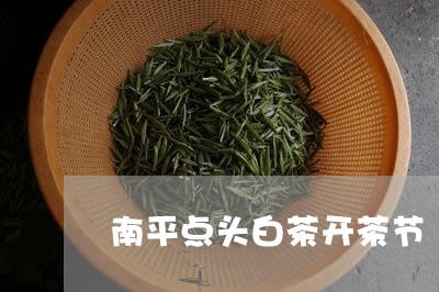 南平点头白茶开茶节/2023081305826