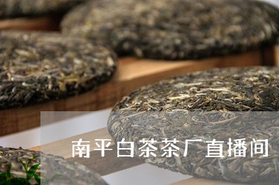 南平白茶茶厂直播间/2023071692604