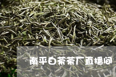 南平白茶茶厂直播间/2023081354837