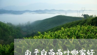 南平白茶茶叶哪家好/2023121765160