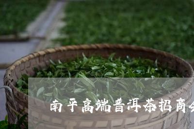 南平高端普洱茶招商会/2023092583946