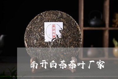 南开白茶茶叶厂家/2023061352949