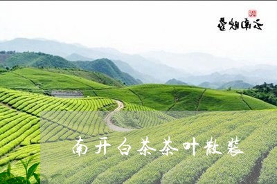 南开白茶茶叶散装/2023061387261