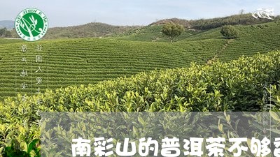 南彩山的普洱茶不够香/2023062196381