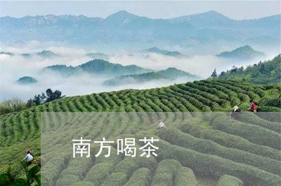 南方喝茶/2023090152726