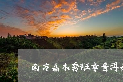 南方嘉木秀班章普洱茶/2023062206291