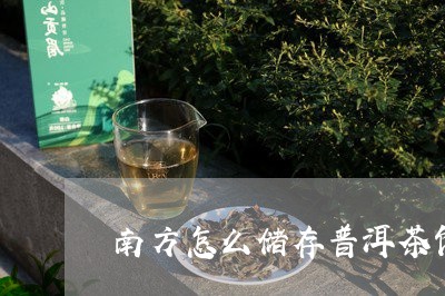 南方怎么储存普洱茶饼的/2023112882825