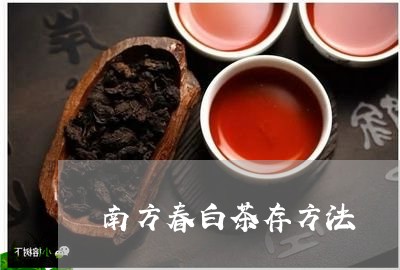 南方春白茶存方法/2023121796270