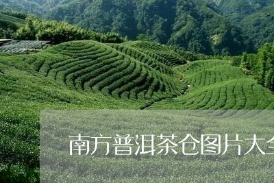 南方普洱茶仓图片大全/2023080140472