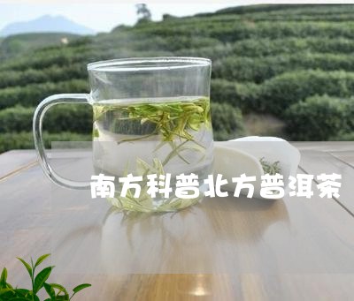 南方科普北方普洱茶/2023120538572