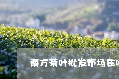 南方茶叶批发市场在哪/2023061185047