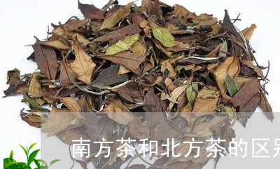 南方茶和北方茶的区别/2023060976240