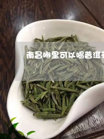 南昌哪里可以喝普洱茶/2023080244847