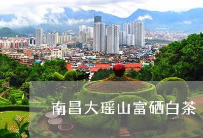 南昌大瑶山富硒白茶/2023071647151