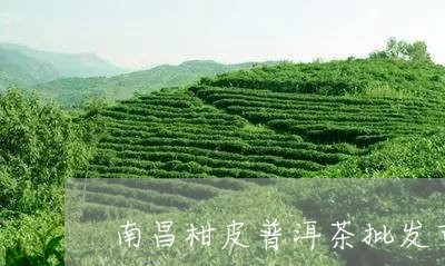 南昌柑皮普洱茶批发市场/2023102426037