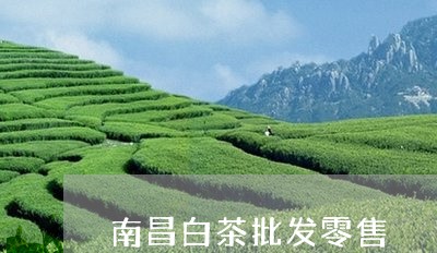 南昌白茶批发零售/2023061503837