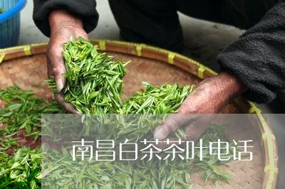 南昌白茶茶叶电话/2023061549371