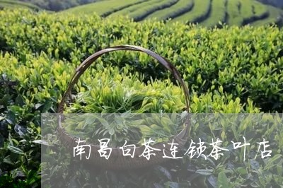 南昌白茶连锁茶叶店/2023121797685