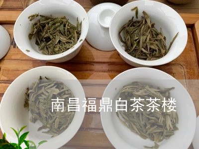 南昌福鼎白茶茶楼/2023061507580